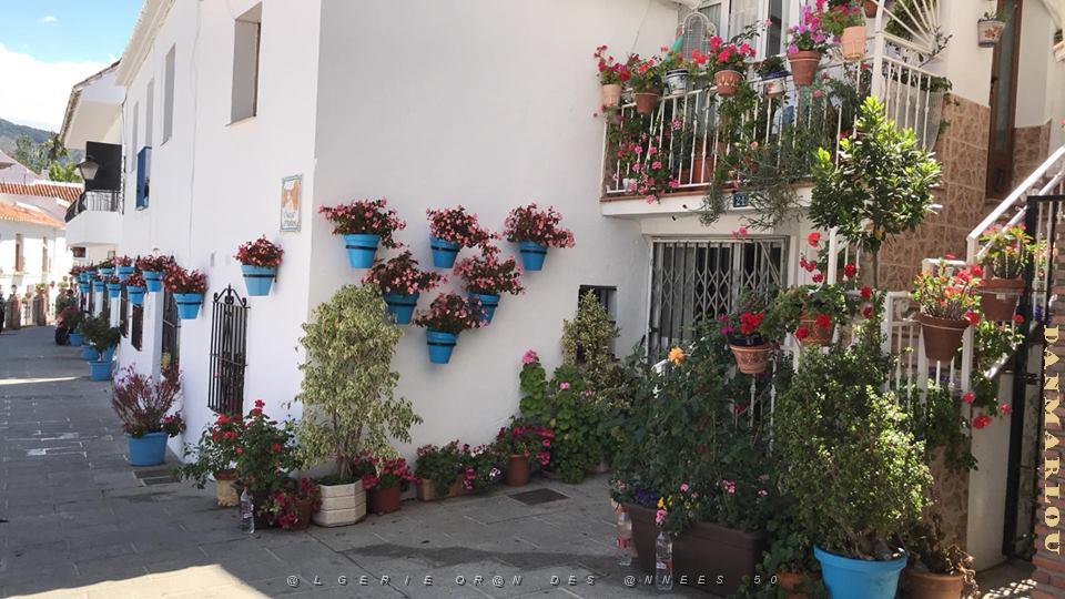 2018 06 09 au 10 HOMMAGE A NOTRE DAME DE SANTA CRUZ A DALIAS(ALMERIA)  (104).jpg